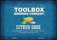 3191-toolbox-citrus-gose–1.jpg